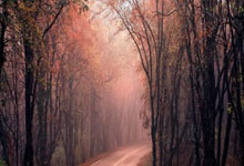 竞争激烈！欧国联赛各支球队争夺胜利机会