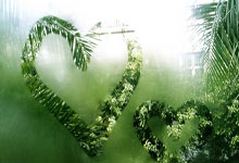 北京国安战平卡昂，保持中游位置稳定