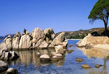 阿森纳中后场密不透风，完美守住胜局